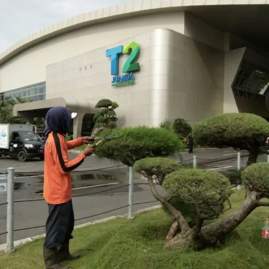 Services Jasa Bidang Perawatan Landscape 2 img_20161025_wa0011