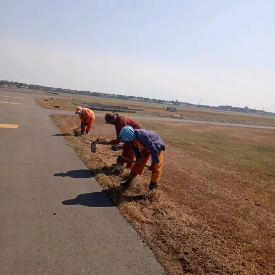 Services Jasa Bidang Perawatan Landscape 6 whatsapp_image_2019_10_22_at_14_18_24