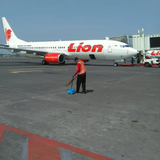 Services Jasa Bidang Perawatan Landscape 7 whatsapp_image_2019_10_23_at_09_02_24