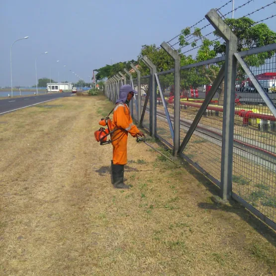 Services Jasa Bidang Perawatan Landscape 9 whatsapp_image_2019_10_24_at_08_00_37